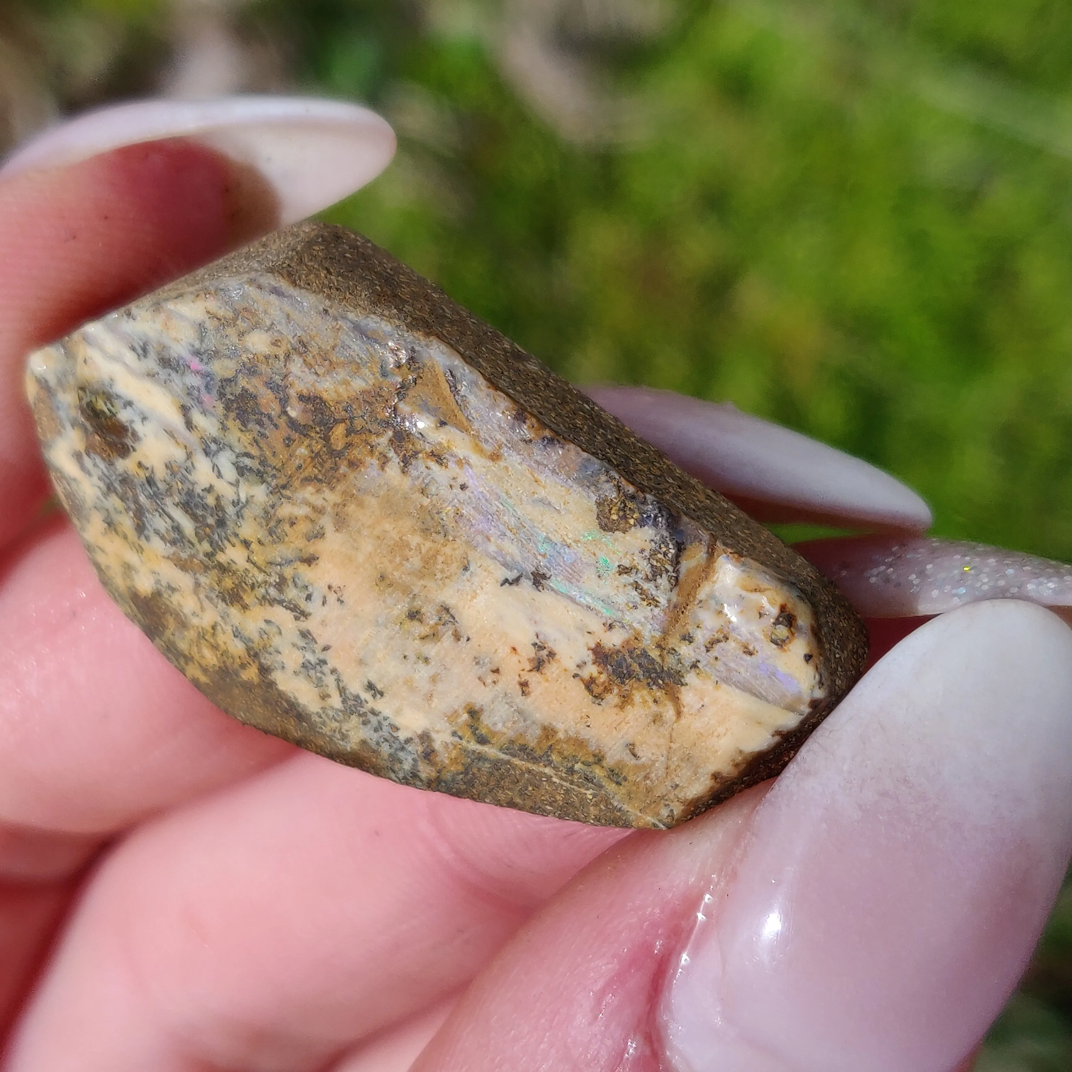 Australian Boulder Opal Rough Specimen with Dendritic Patterns (#1)