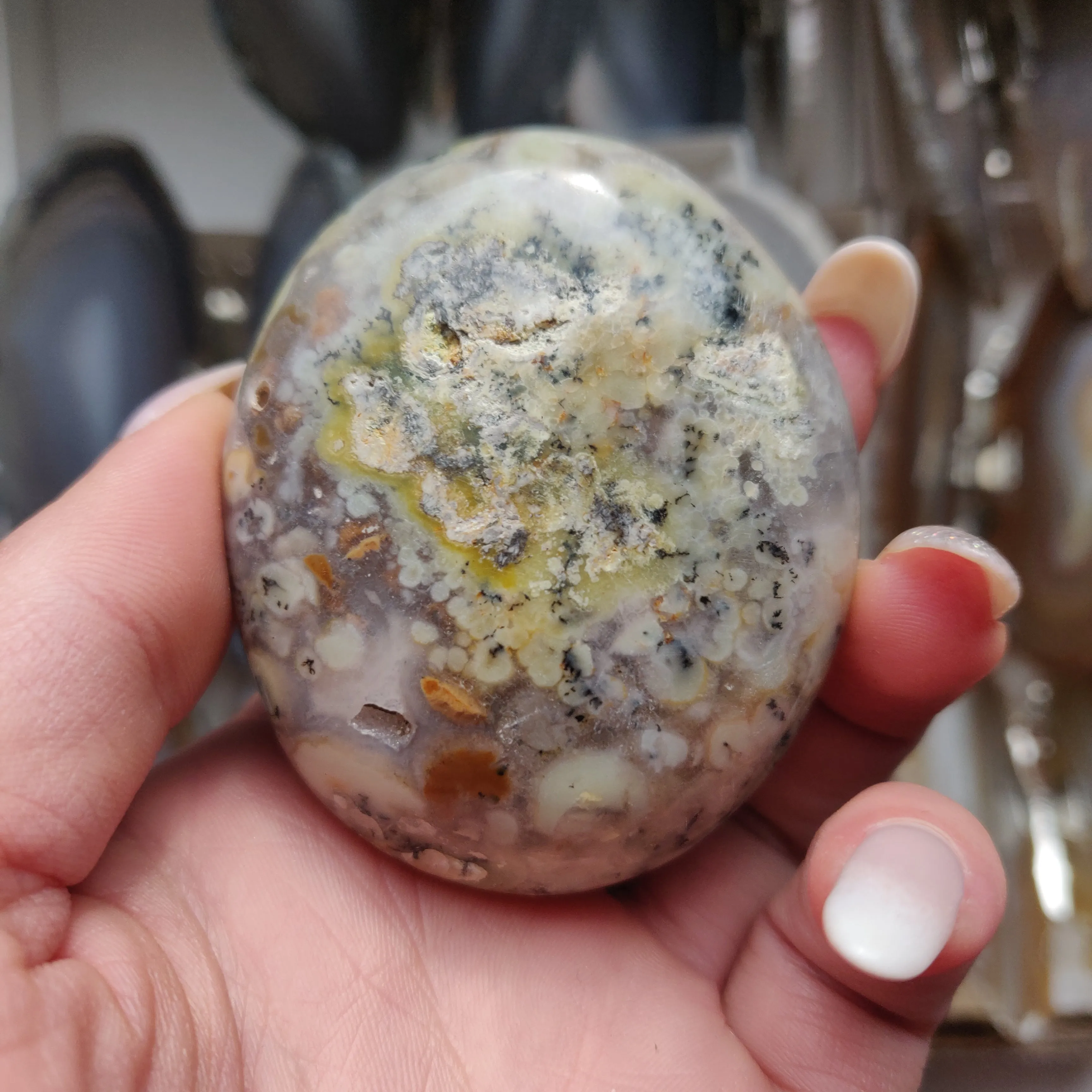 Dendritic Opal Palm Stone (#30)