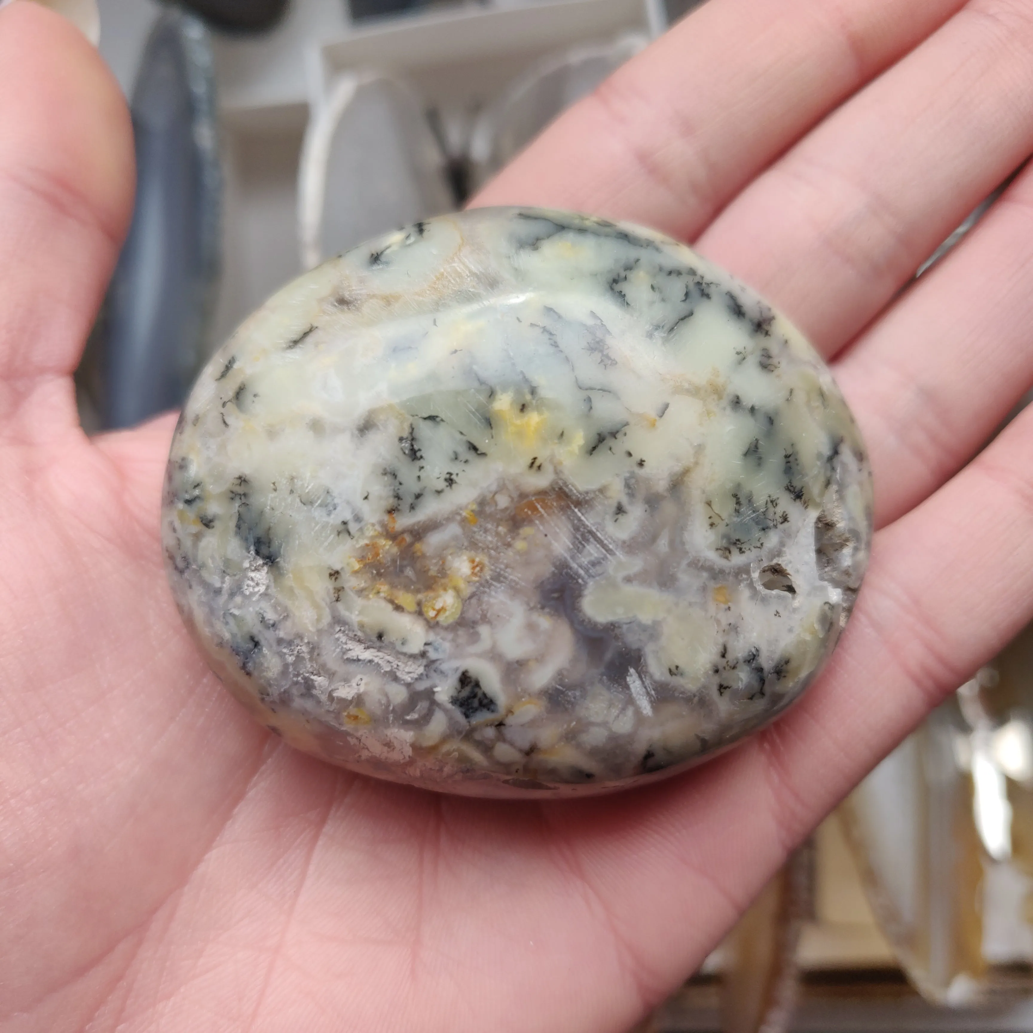 Dendritic Opal Palm Stone (#30)
