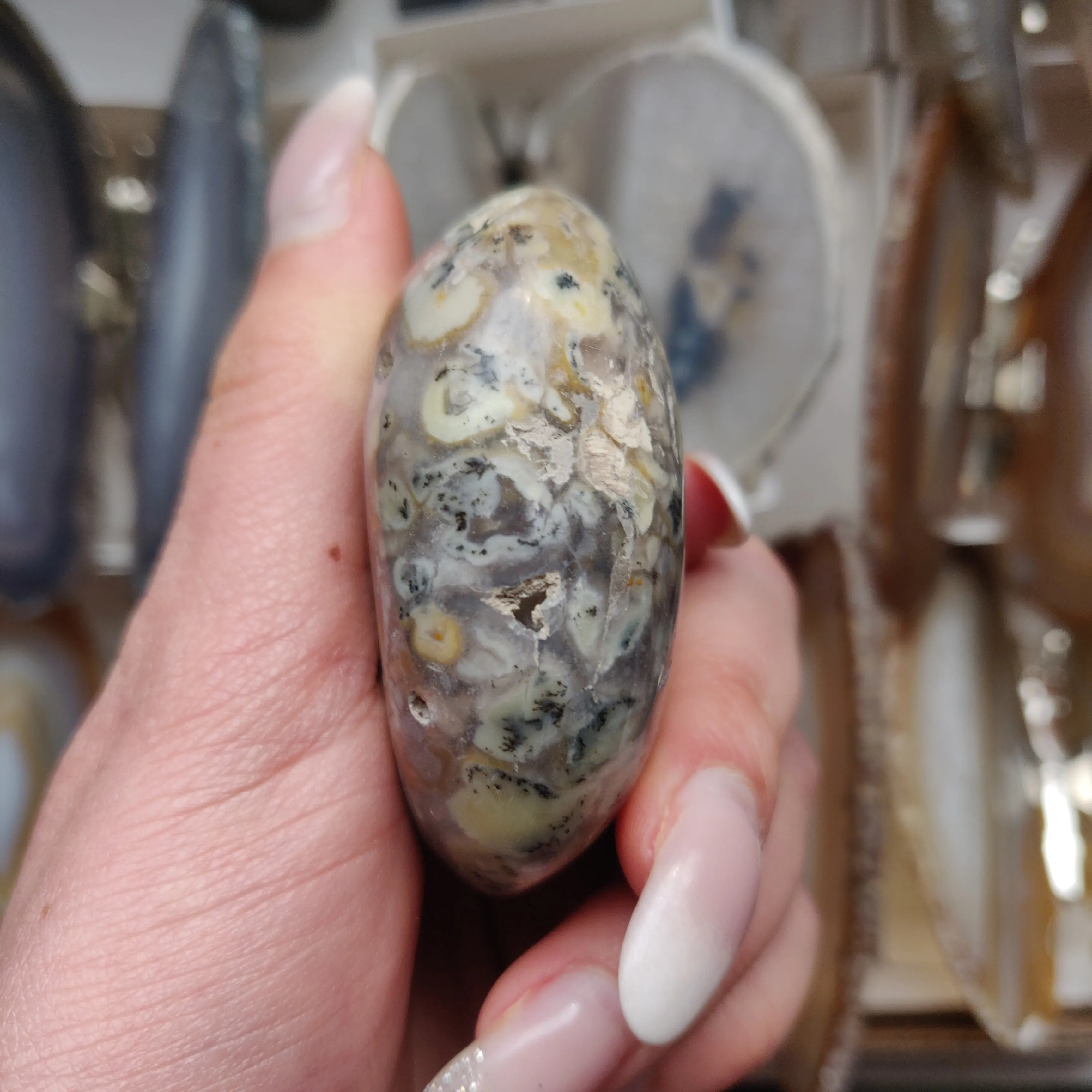 Dendritic Opal Palm Stone (#30)